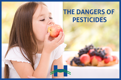 Pesticides as a Major Health and Environmental Concern